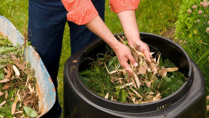 Adding Suitable Materials To Your Compost Bin