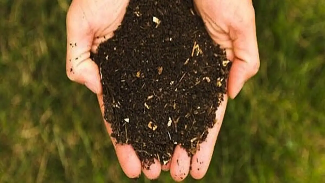 Advanced Composting Techniques