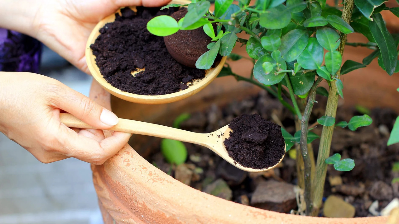Alternative Fertilizer Options