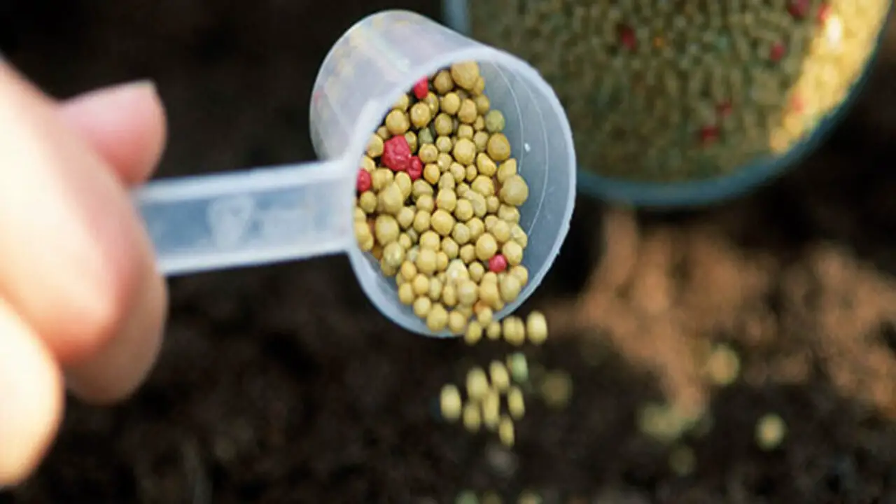 Alternatives To Slow-Release Fertilizer