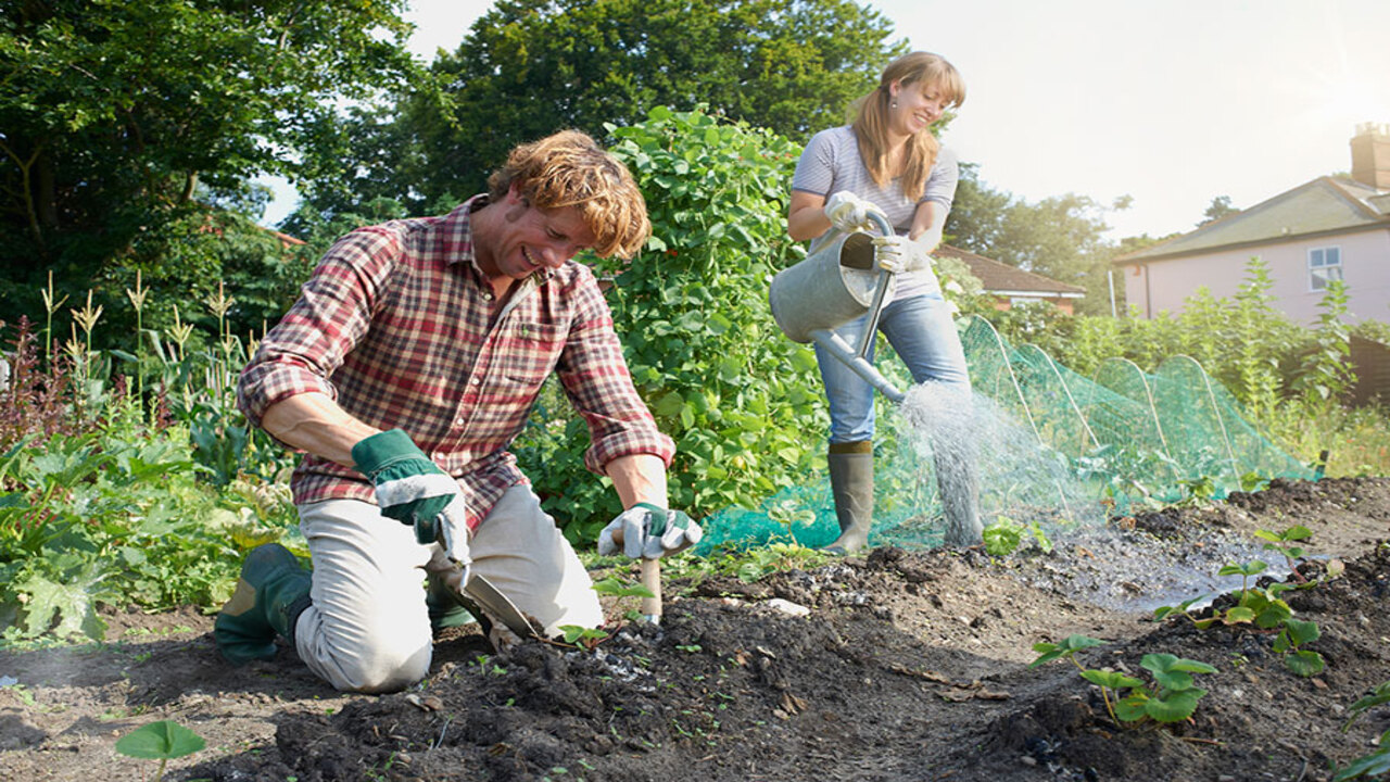 American Compost & Sustainable Green Gardening