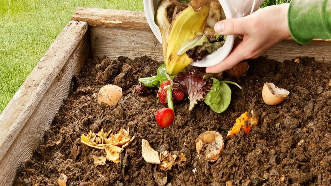 Applying Compost To Different Types Of Plants And Gardens