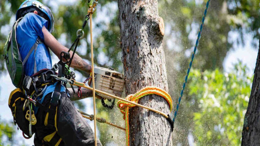 How To Make A Tree Climbing Lanyard Explained In 4 Steps