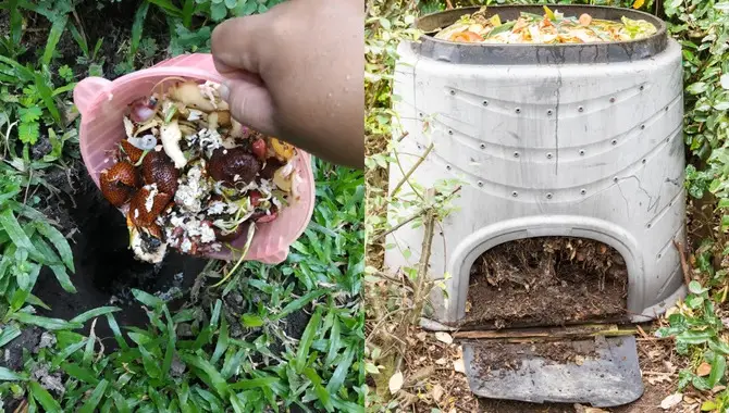 Avoiding Common Composting Mistakes