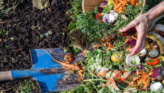 Avoiding Common Composting Mistakes