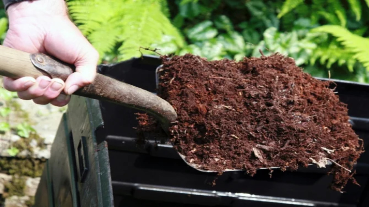 Benefits Of Compost For Soil