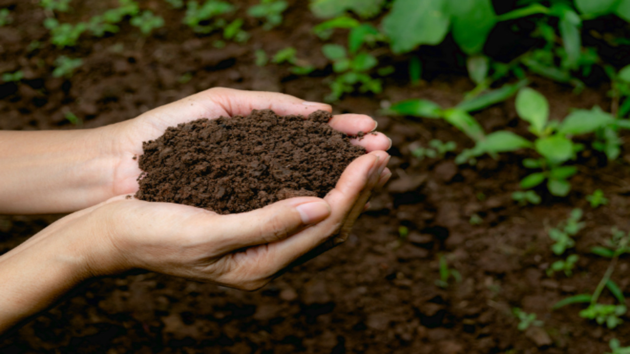 Benefits Of Composting