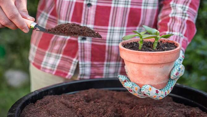 Benefits Of Composting For Container Gardening
