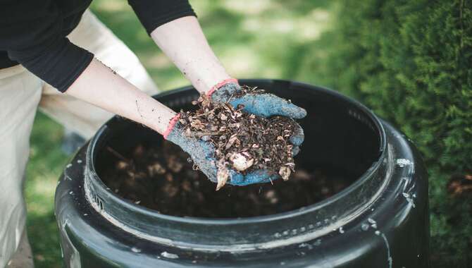 Benefits Of Composting With Wood Chips