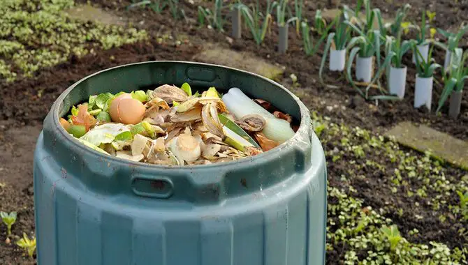 Benefits Of Using A Composting Bin