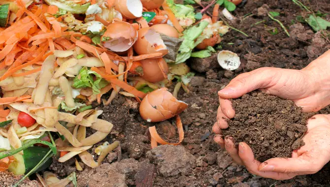 Benefits Of Using Yard Waste Compost