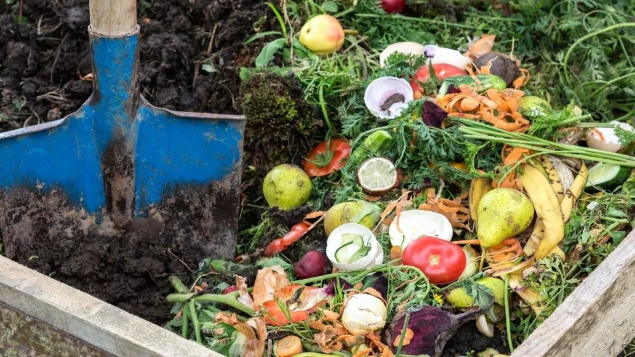 Benefits Of Working With A Reputable Compost Supplier