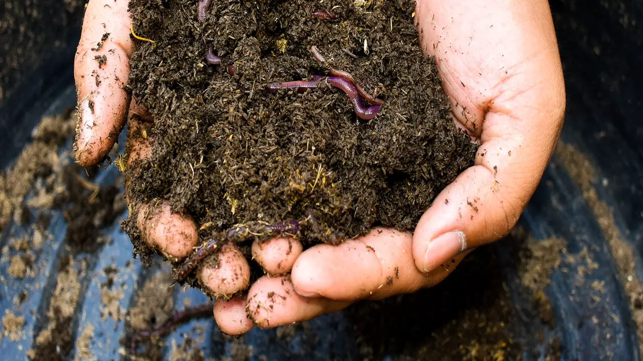 Boosting Soil Health With Aeration Compost