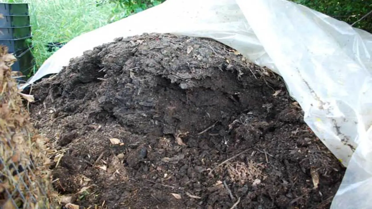 Building The Base Layer Of Your Compost Pile