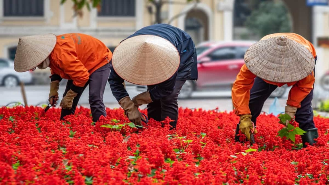 Challenges And Risks Of Farming And Gardening For Business