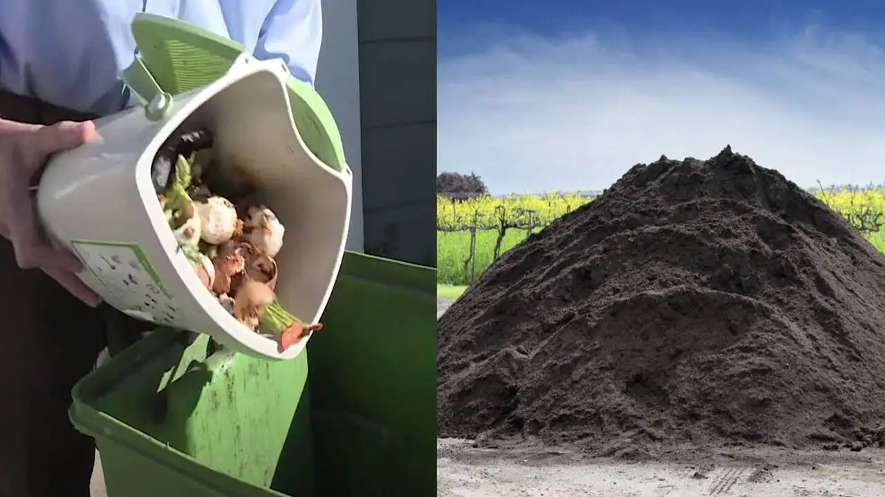 Check Municipal Composting Programs