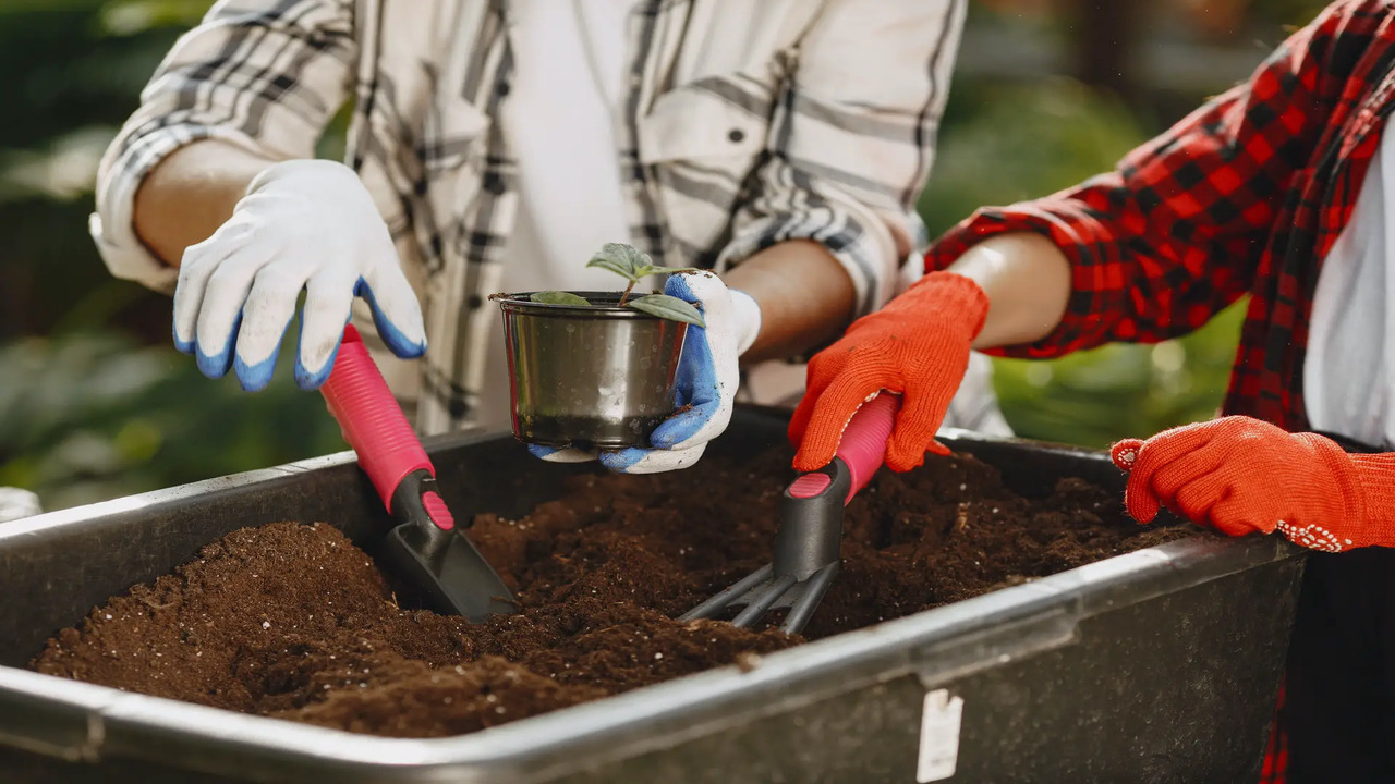 Choose The Right Composting Method For You