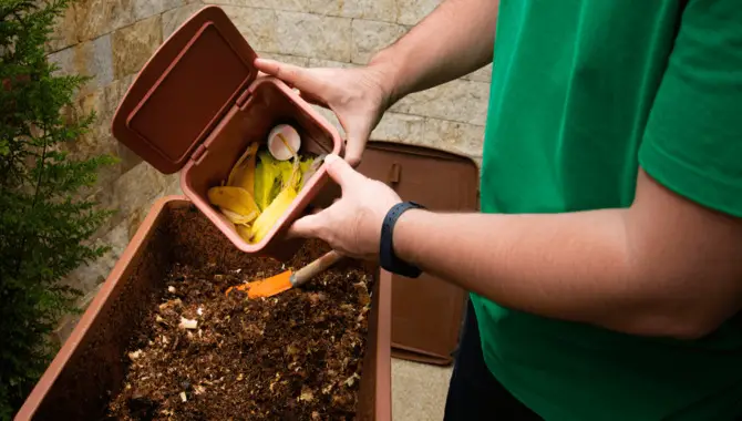 Choose The Right Place To Compost At Home