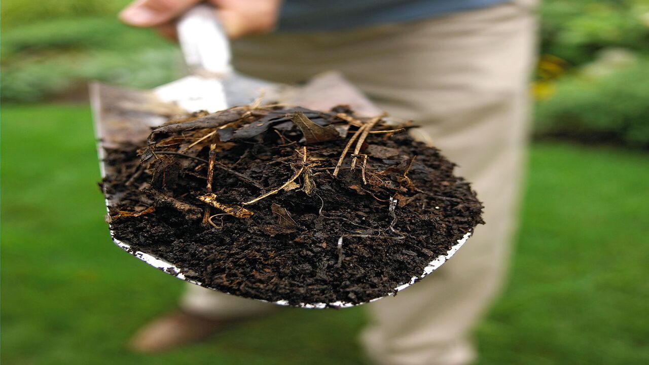 Choosing The Right Colors For Your Compost Logo