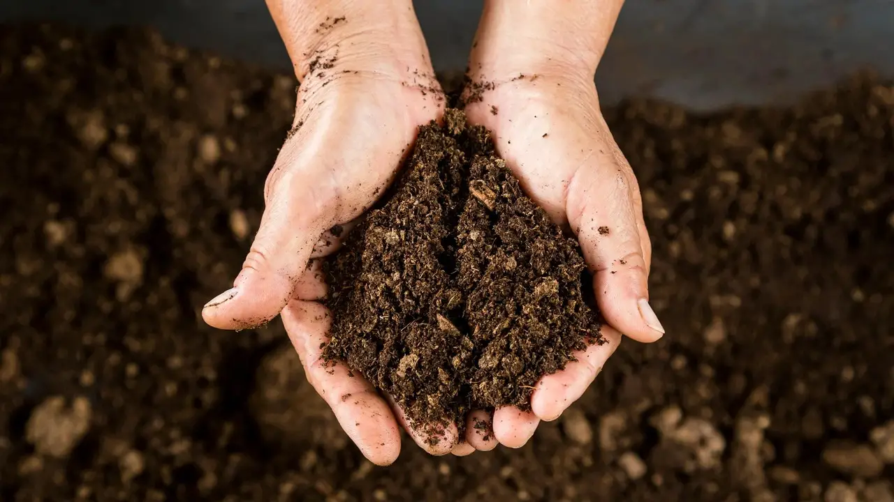 Choosing The Right Compost For Your Needs