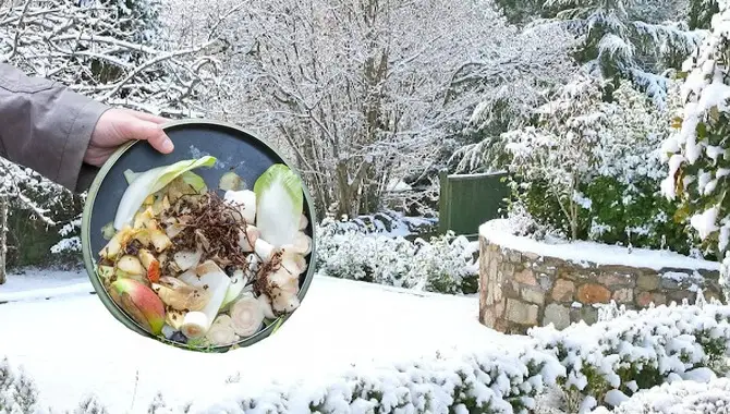 Choosing The Right Composting Method For Winter