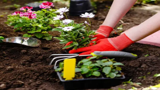 Choosing The Right Composting Method For Your Flower Garden