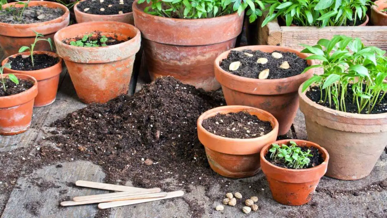 Choosing The Right Composting-Plant