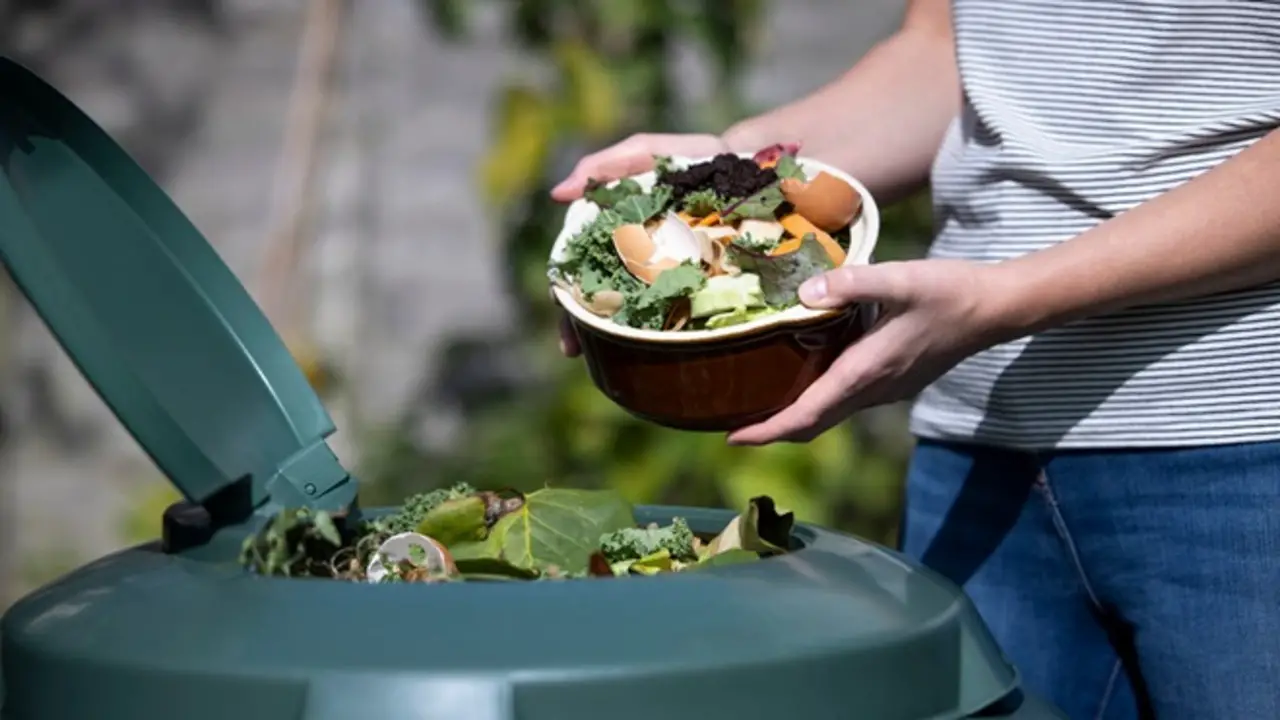 Choosing The Right Composting System