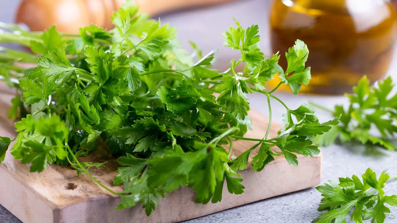 Choosing The Right Location For Parsley