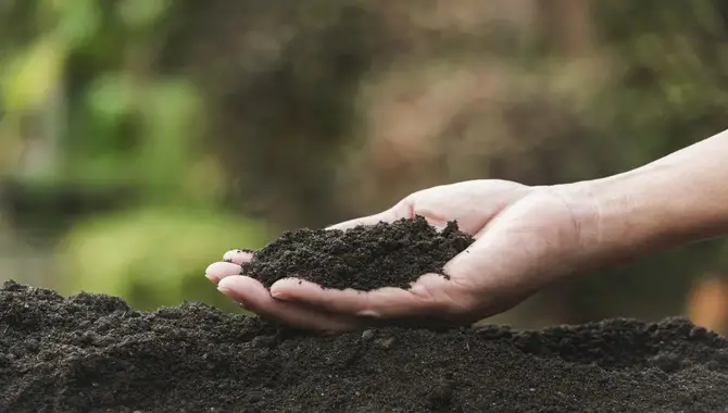 Choosing The Right Materials For Organic Composting