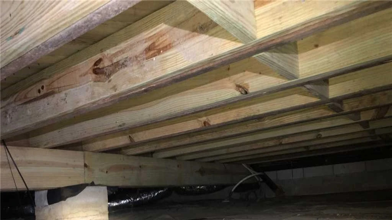 Choosing The Right Type Of Repair Plate For Your Floor Joists
