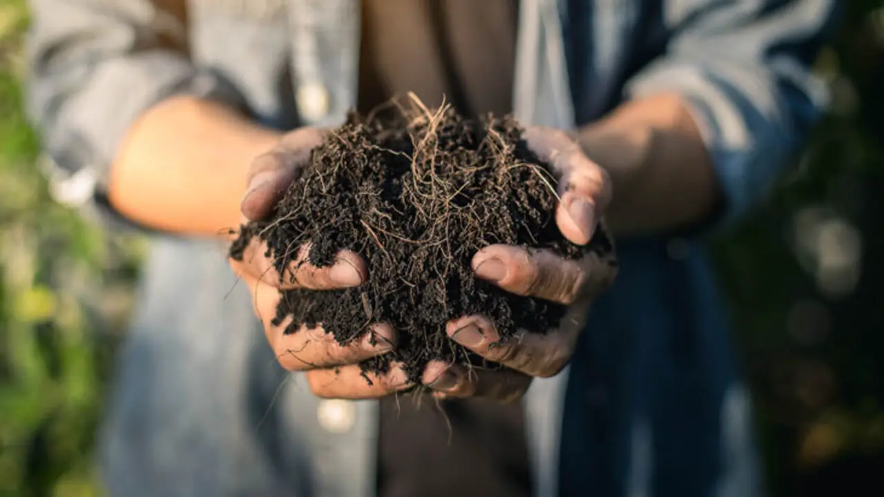 Compost And Soil Ph Balance