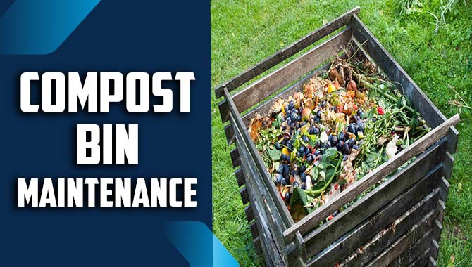 Compost Bin Maintenance