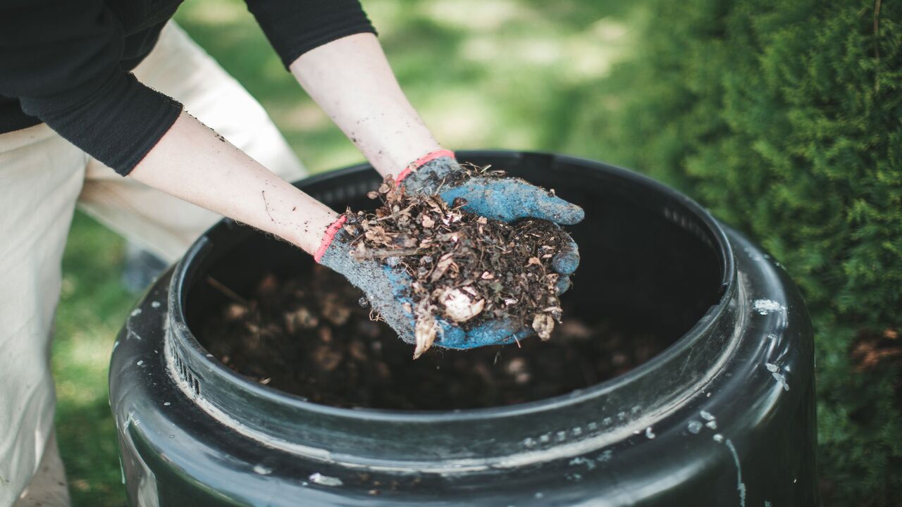 Compost Bins