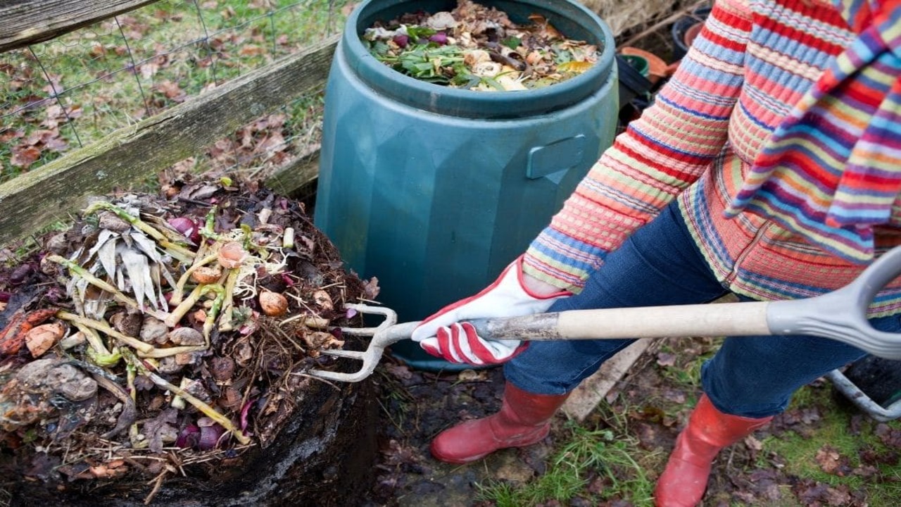 Compost Encourages Biodiversity