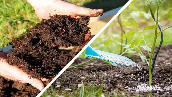 Compost Vs. Fertilizer - Know Which Is Best.