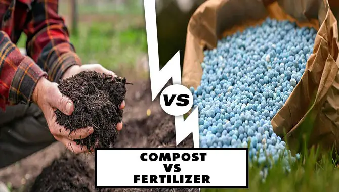  Compost Vs. Fertilizer
