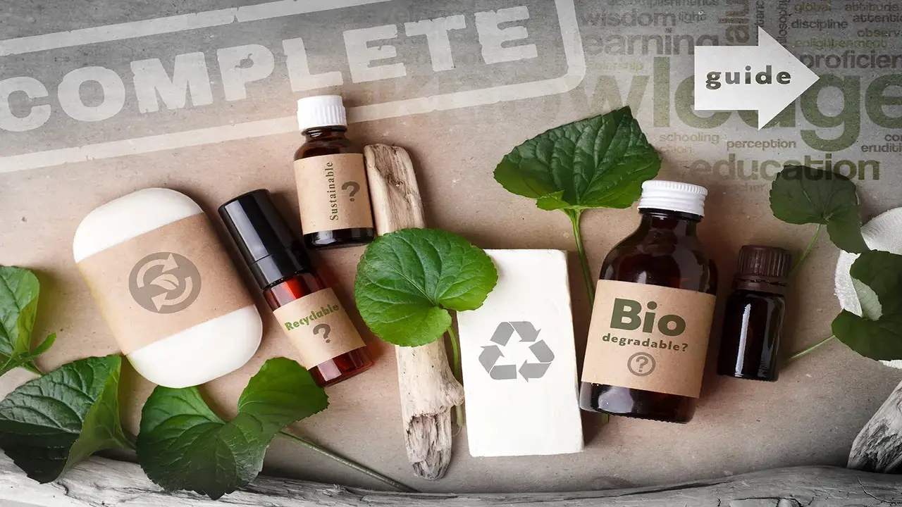 Compostable Meaning Trends And Innovations In Sustainable Packaging