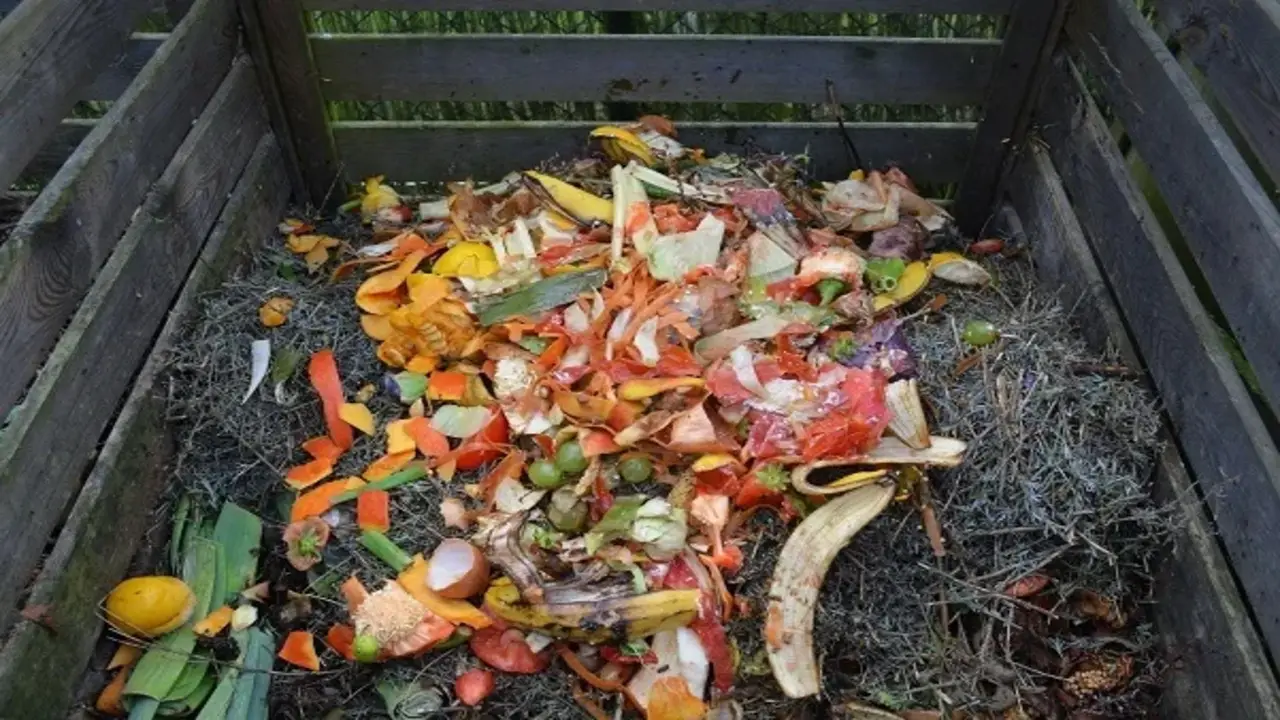 Composting And Food Waste Reduction