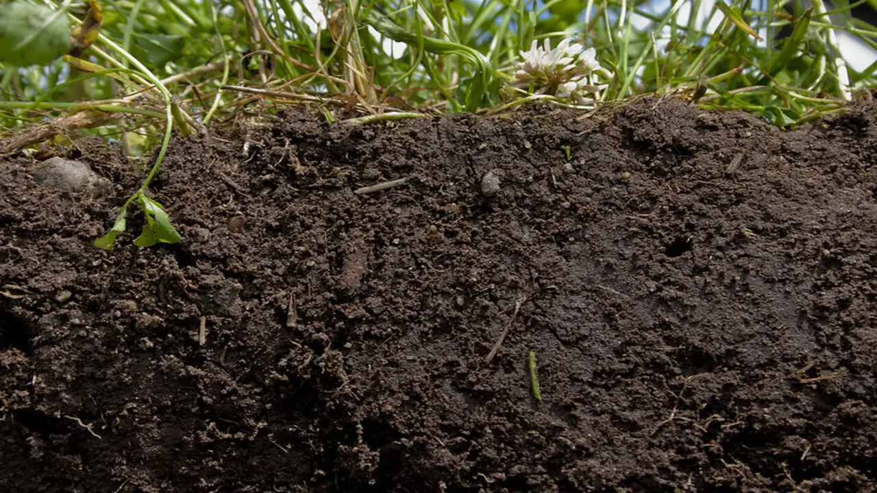 Composting And Soil Health