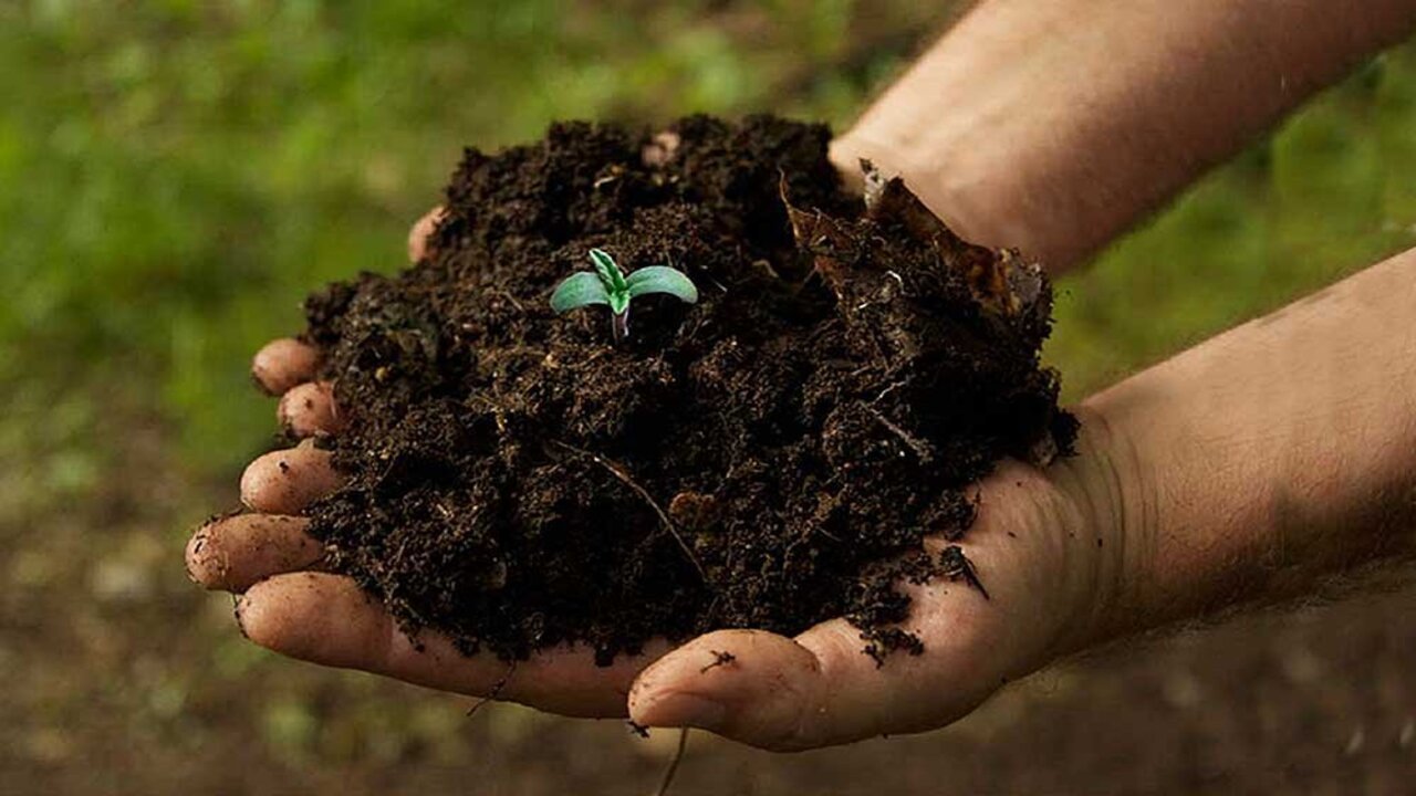 Composting And Soil Health