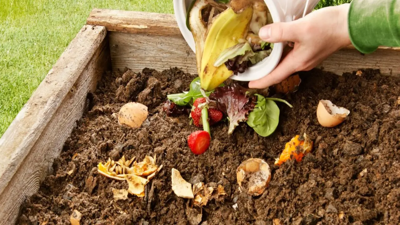 Composting And Waste Reduction