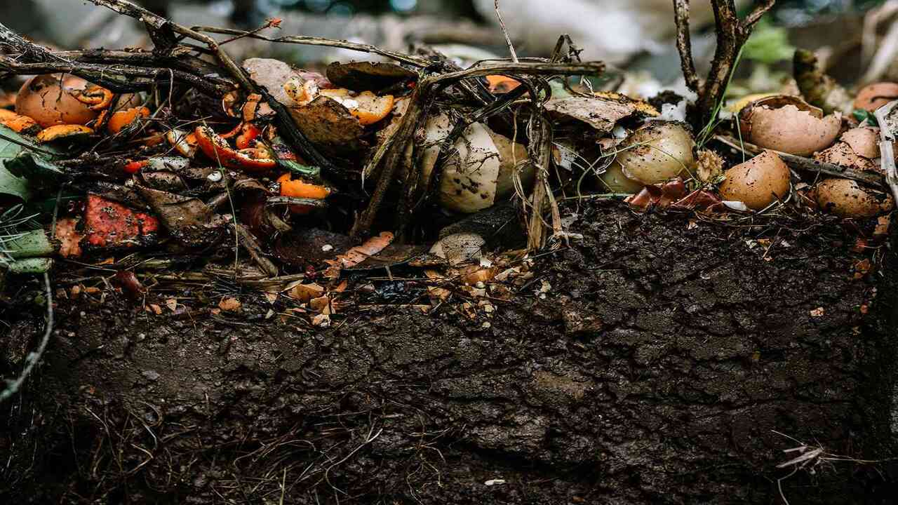 Composting Compostable Waste