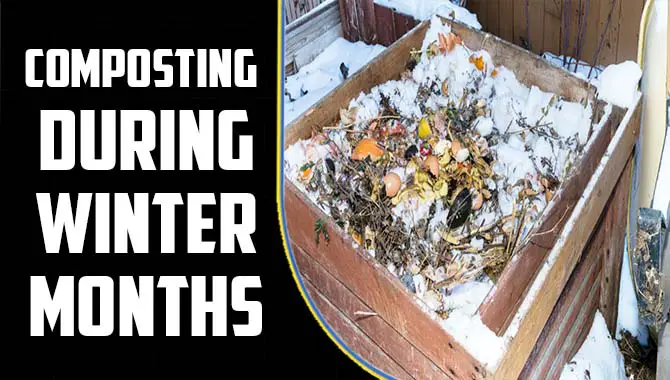 Composting During Winter Months