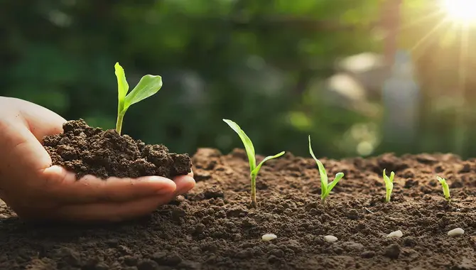 Composting Enriches Soil Naturally