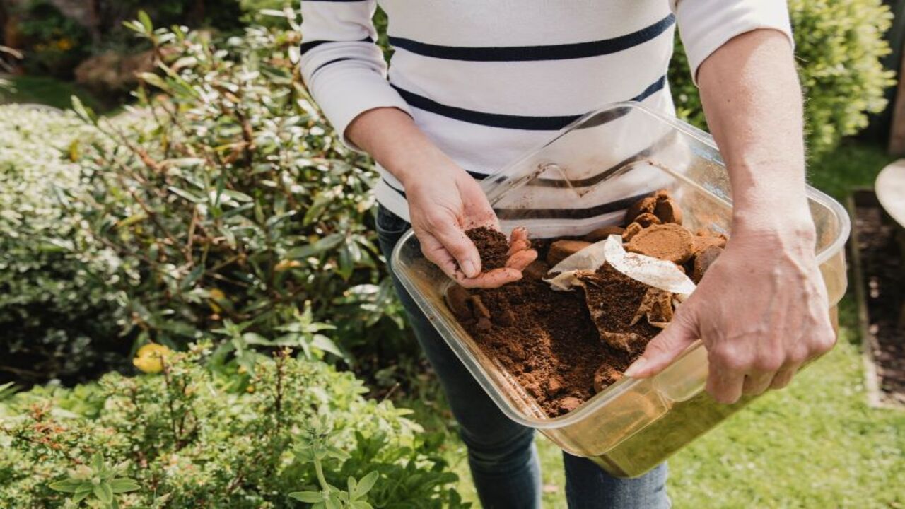 Composting For The Home Gardener