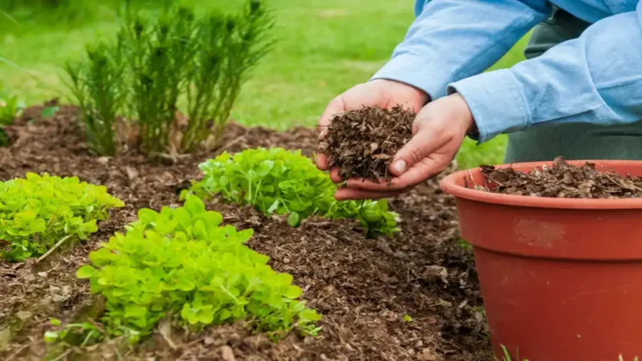Composting Improves Water Retention In Soil