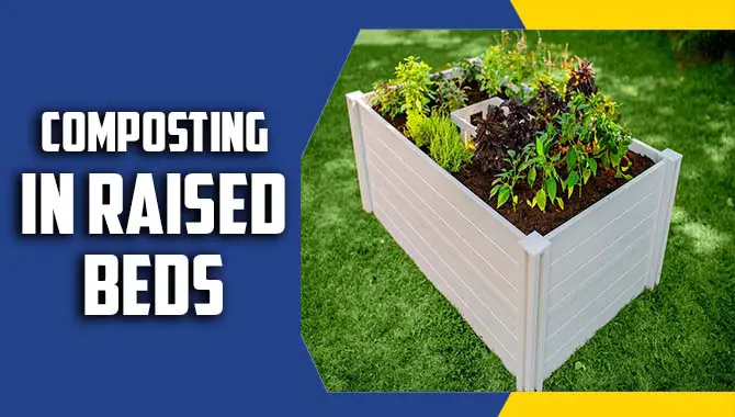 Composting In Raised Beds