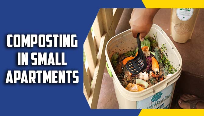 Composting In Small Apartments