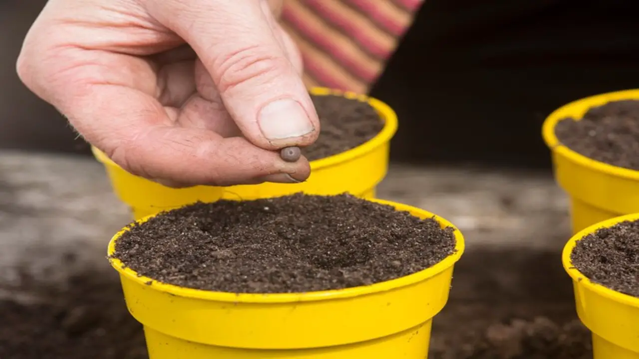 Composting Is An Easy Way To Reduce Your Carbon Footprint